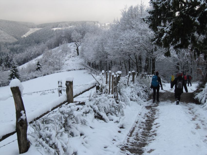 Lees meer over het artikel Wandelweekend Arimont